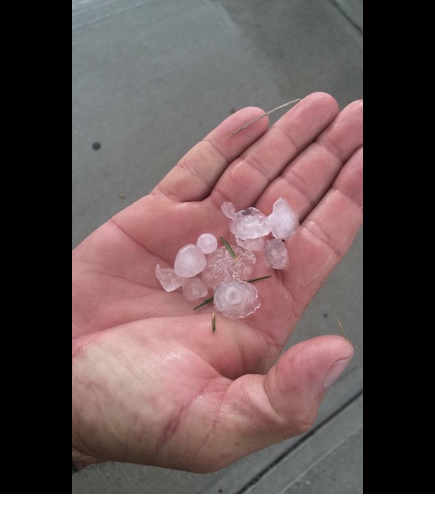 強風夾大冰雹「襲擊」大多區