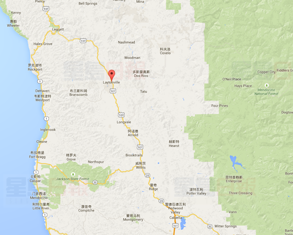 養子捅死捅傷家人慘劇 更多細節曝光