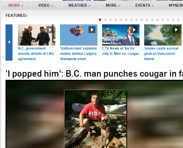 愛犬被美洲獅拖走 主人毫不畏懼重拳出擊