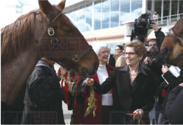 多市議會投票讚成擴大Woodbine跑馬場博彩業