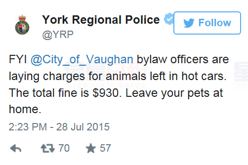 將寵物留在炎熱的車內恐被罰930元