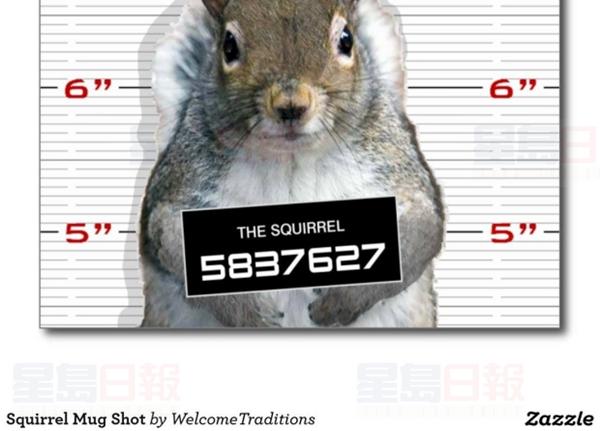 警察叔叔好幽默：張貼松鼠疑犯像尋堅果盜賊