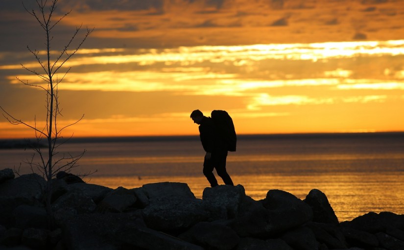 今天雖夏日高懸 但依然清涼