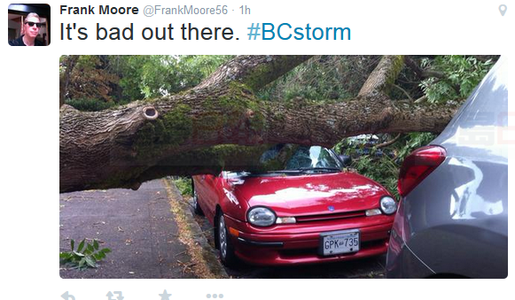 強風襲擊B.C.省 二十萬家庭停電