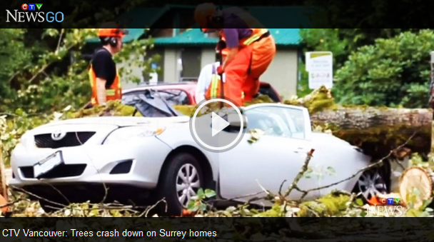 強風吹襲B.C.省 仍有18萬戶停電