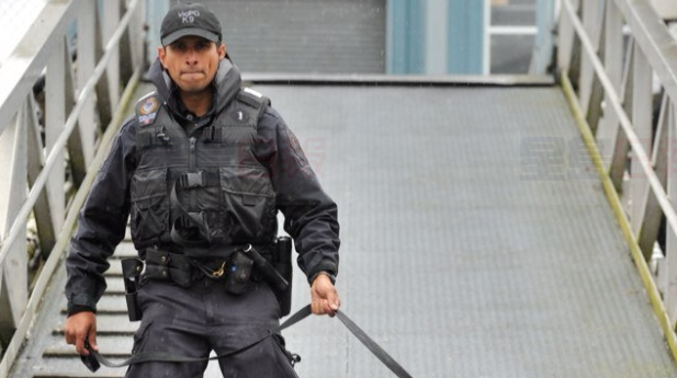 65歲老婦在遊輪靠岸時迷路失踪 Victoria警察買機票助其回家