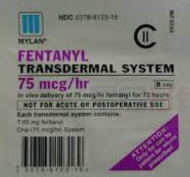 多警方毒品隊將報告芬太尼濫用調查情況