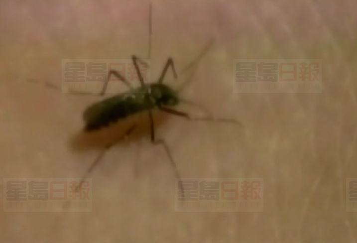 多倫多出現首例人體感染西尼羅病毒病例