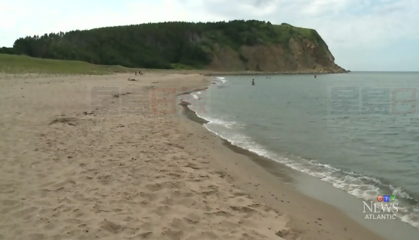 紐省女子海水中勇救七人后不幸遇難
