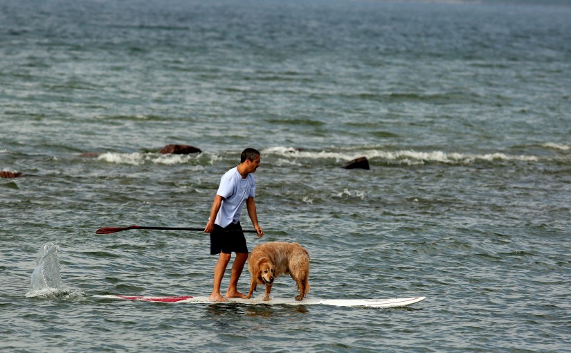 熱浪來襲市民避暑出遊 旅行必備六個APP
