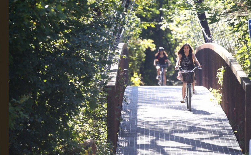週末去哪兒：五個好去處