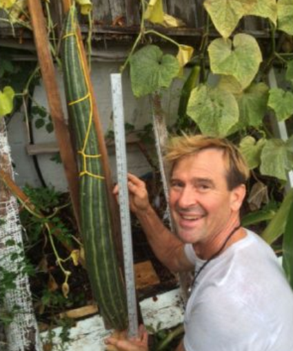 卑詩男子種出世界最長黃瓜 申報吉尼斯紀錄