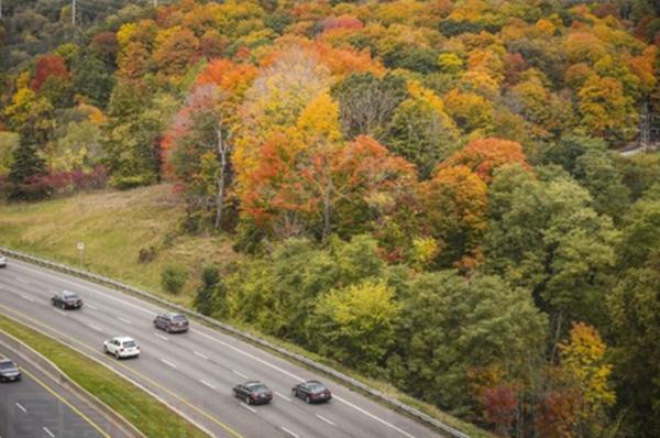 今秋氣溫將像過山車 預計首場雪比往年來得早