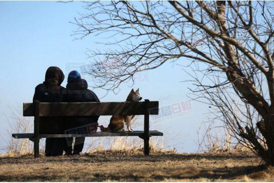 多倫多今日比昨日還要冷 出門需添衣