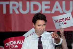 Warden夾Steeles疑遭縱火 兩黨派選舉宣傳牌被燒燬