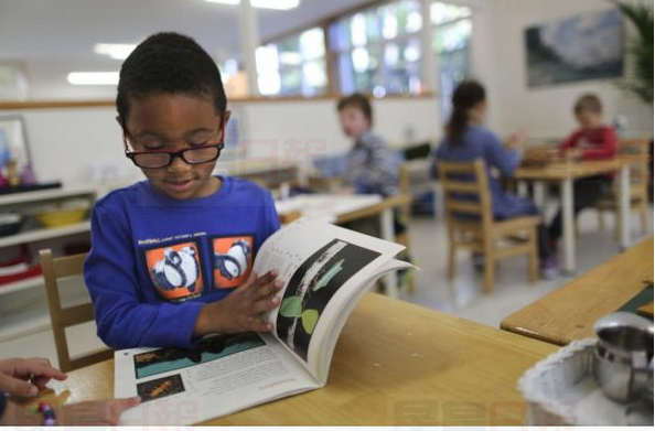 安省日托立新規 蒙特梭利學校陷困境