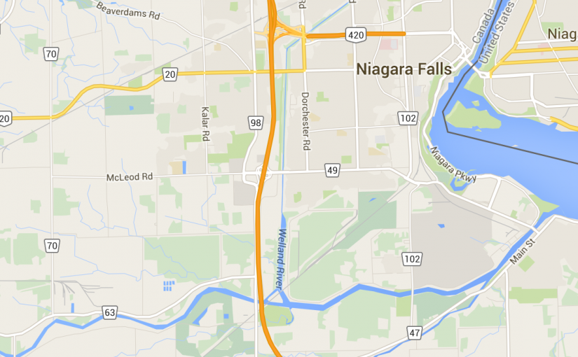 水牛出沒！3隻水牛「越獄」漫步QEW 1隻被撞死