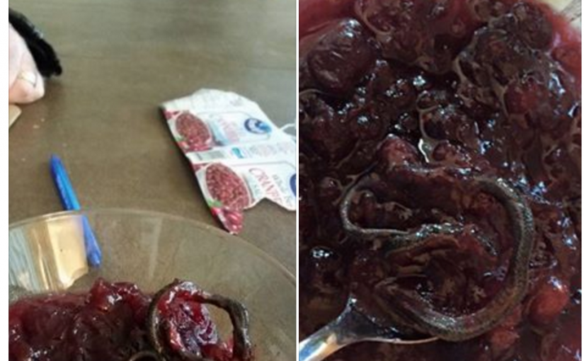 打開紅莓醬竟有蛇 女子怒求食檢局徹查（圖）