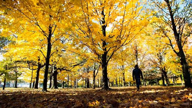 一周天氣展望：晴雨相間 氣溫漸低要記得加衣