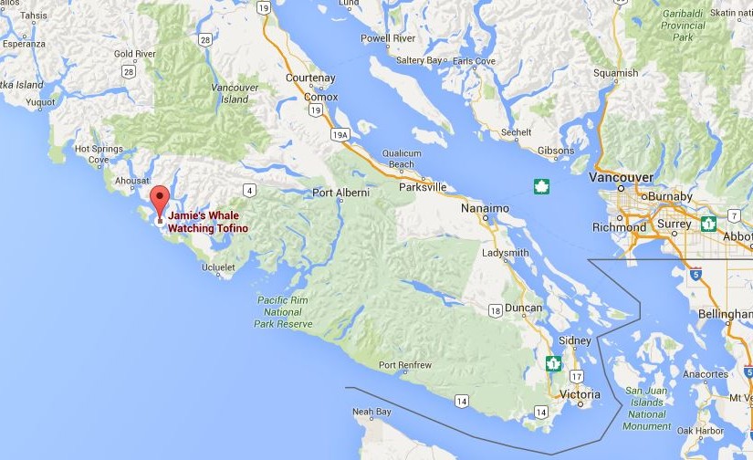 卑诗觀鯨翻船 1死26人生死未卜