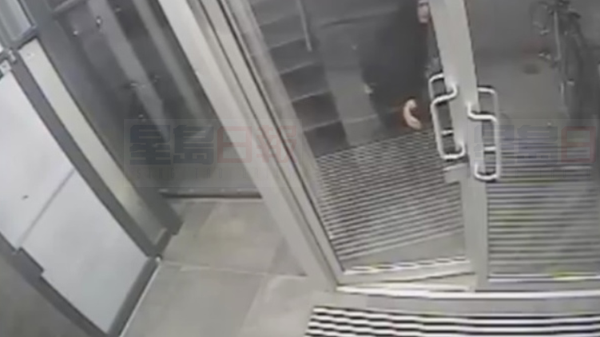 入室搶劫斧頭砍人 兩疑犯仍在逃 警方公佈錄像