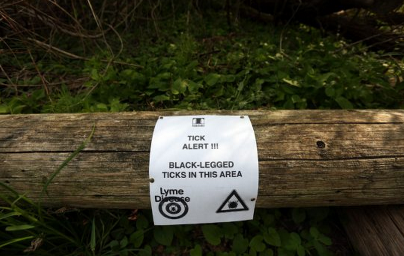 小心！安省萊姆病例猛增