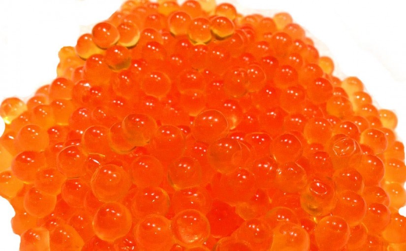 轉基因三文魚和蛋 加拿大該不該產？