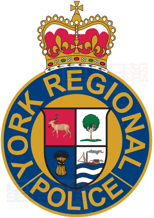 萬錦市交通事故 女司機危殆送院