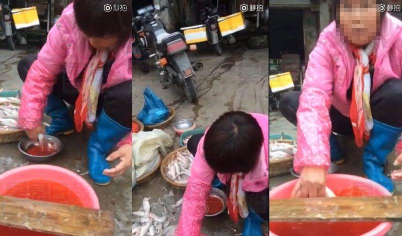 汕頭魚販公然染紅死魚鰓扮鮮魚