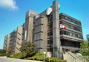 多倫多教育局新臨時教育總監：我不怕