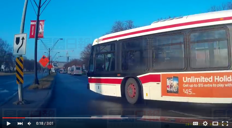 TTC巴士北約克撞汽車后揚長而去