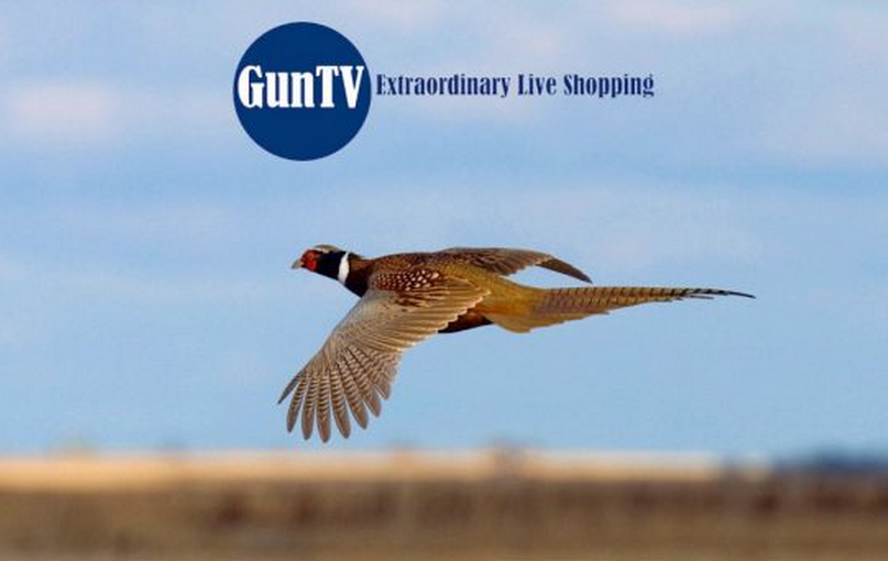 美國人很快可通過電視購物頻道買槍