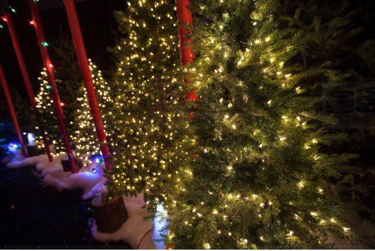 Canadian Tire緊急召回33種聖誕燈