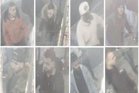 這八名疑犯在逃 與King街群毆案有關