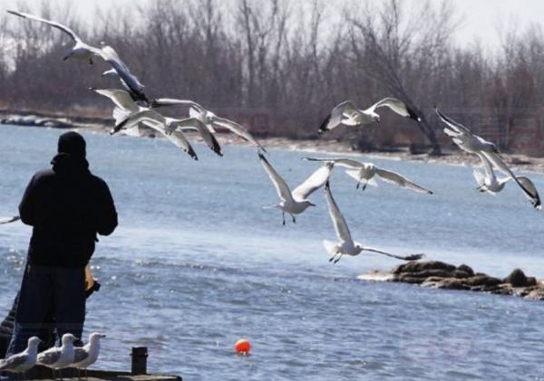 今日上午喜迎陽光 下午或有雨夾雪