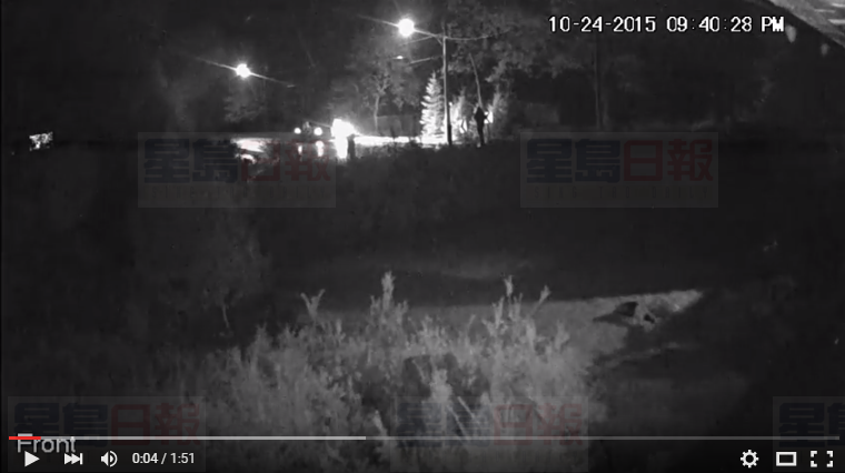 三嫌犯爆竊船屋 就為殺主人的狗