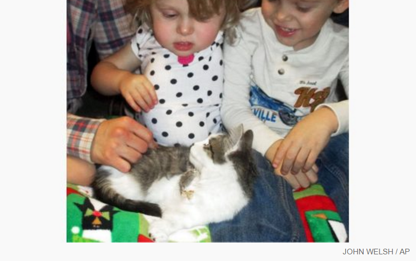 因癌症截肢兩歲小女孩收養截肢小貓