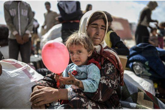 省政府促「私人贊助」解決難民問題