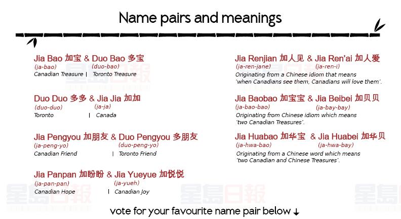 大熊貓寶寶7個入圍命名 等待最後投票