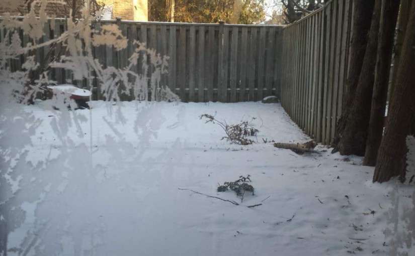 極寒警告仍生效 最低體感溫-32