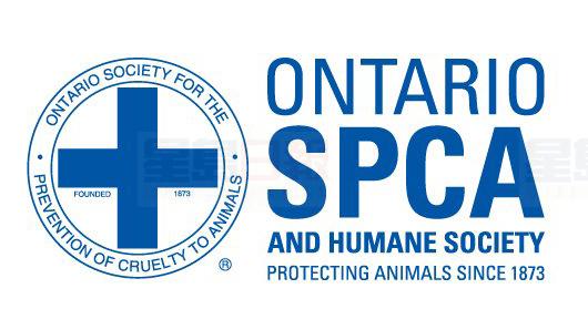 OSPCA沒收21鬥犬 申請全部安樂死