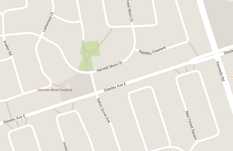 萬錦華人聚居區疑有非法賭檔 兩男中槍