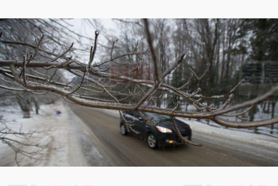 安省凍結 多個城市破情人節最冷記錄