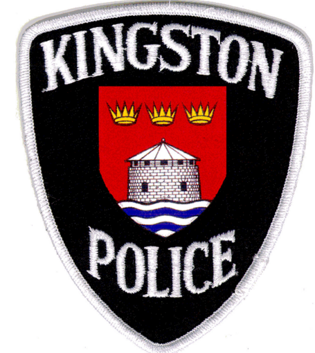 少年幫助同伴拒捕 揮拳襲警