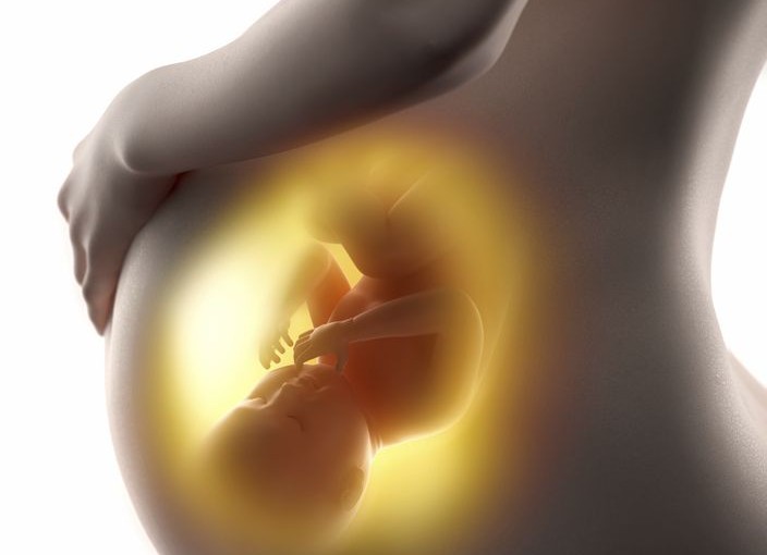 英國倡誕畸胎捐器官惹爭議