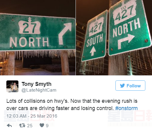 冰雨來襲 多倫多網友發圖秀“冰封”景象