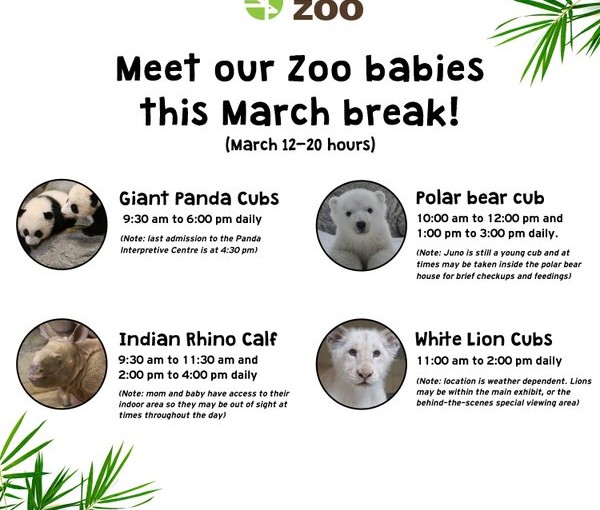 春假想去動物園看BB 時間表在這