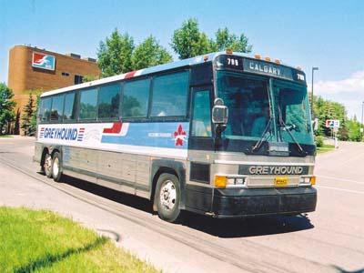 避難所送流浪漢跨省車票引異議