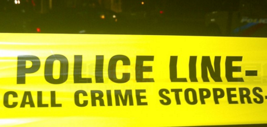 士嘉堡行人被汽車撞亡