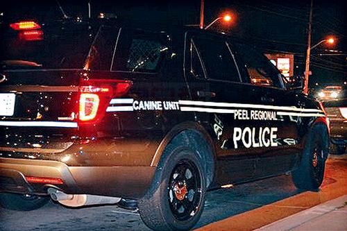 密市發生刺傷案 警方出動警犬找疑犯